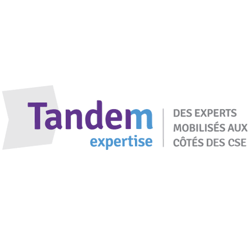 Logo Tandem Expertise Déessi