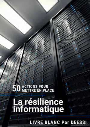 Vignette livre blanc La résilience informatique par Déessi